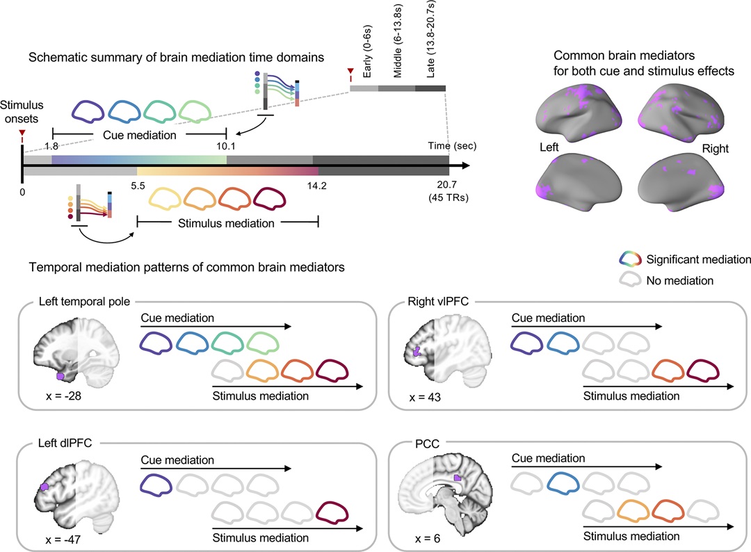 PLOS Biology (@plosbiology) on Twitter photo During #pain, the sensory input is modulated by contextual information. <a href="/SuhwanGim/">Suhwan Gim (@suhwangim.bsky.social)</a> <a href="/choongwanwoo/">Choong-Wan (Wani) Woo</a> &co show how expectation & sensory input are integrated in the human brain during #PainPerception, revealing its spatiotemporal architecture #PLOSBiology plos.io/4fsaanu During #pain, the sensory input is modulated by contextual information. <a href="/SuhwanGim/">Suhwan Gim (@suhwangim.bsky.social)</a> <a href="/choongwanwoo/">Choong-Wan (Wani) Woo</a> &co show how expectation & sensory input are integrated in the human brain during #PainPerception, revealing its spatiotemporal architecture #PLOSBiology plos.io/4fsaanu