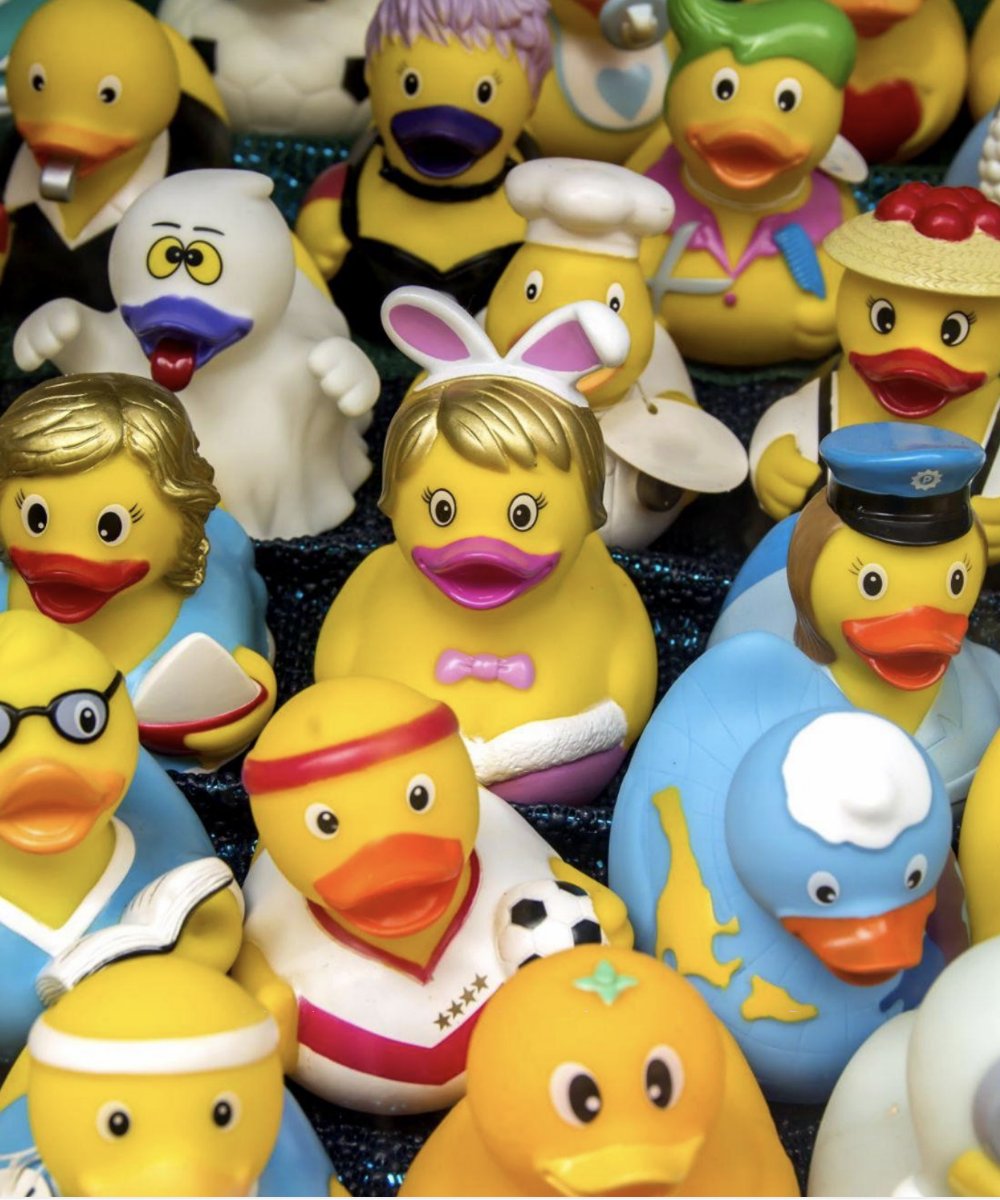 Nicholas Johnston tweet media