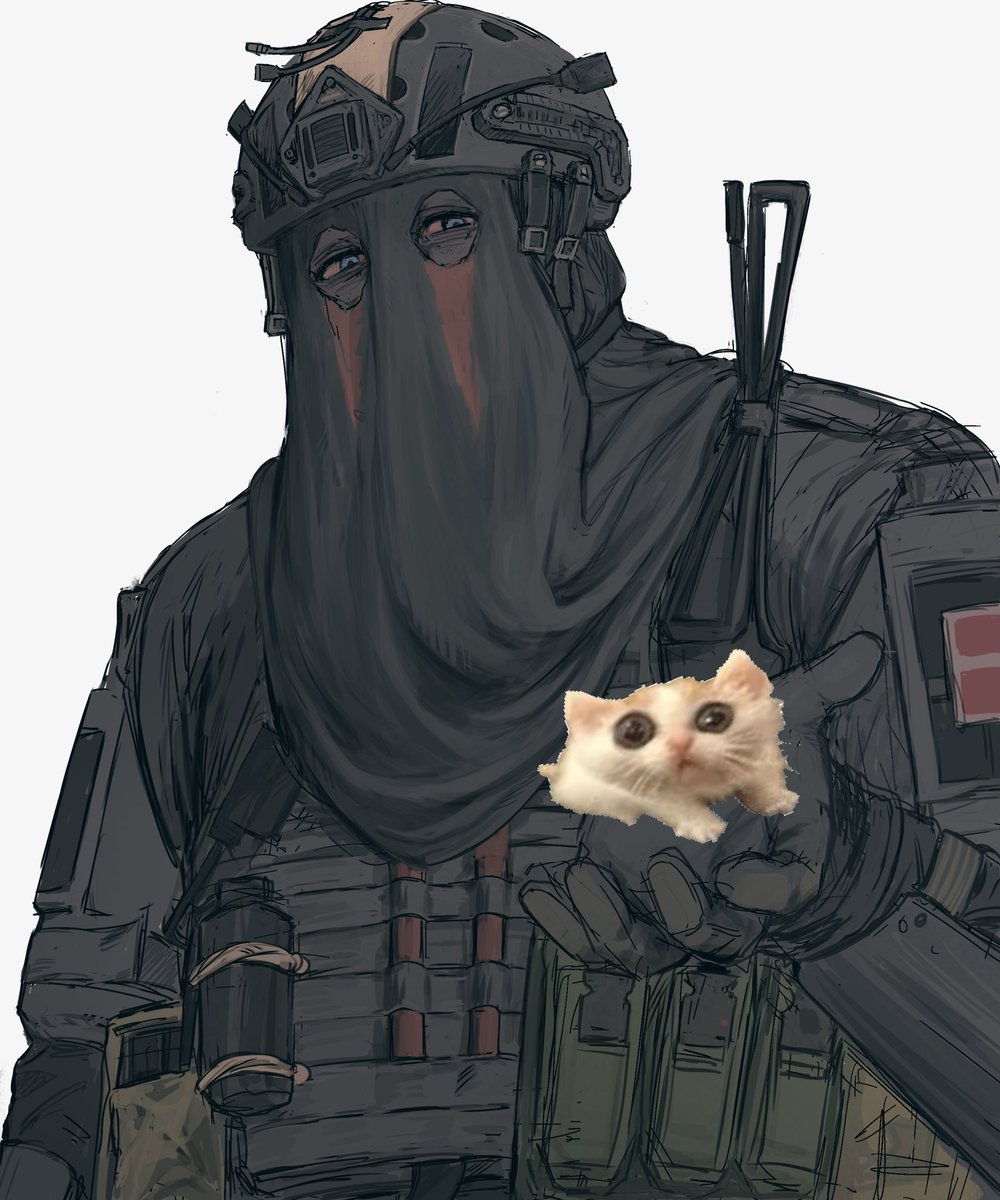 好潦草的猫。#konig #König #CallofDuty