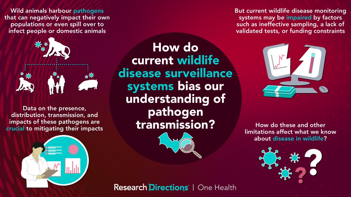 Research Directions tweet media