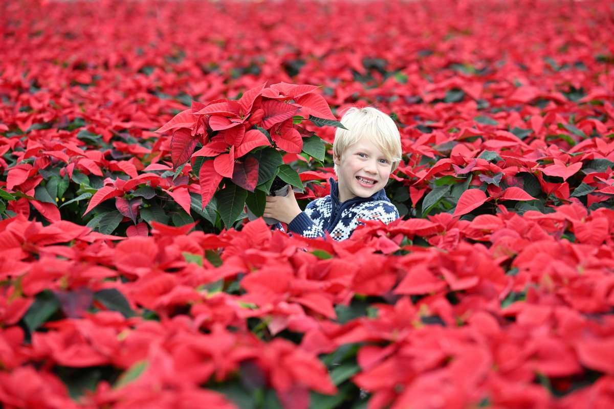 Greg Macvean tweet media