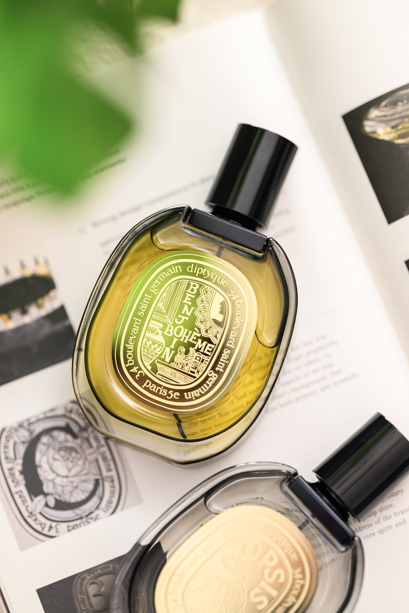 scentalk on X: 