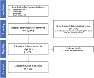 Ophthopedia Update: Antiviral therapy for cytomegalovirus retinitis: A systematic review and meta-analysis dlvr.it/TG9mYn #Ophthalmology #Eye #Ophthotwitter