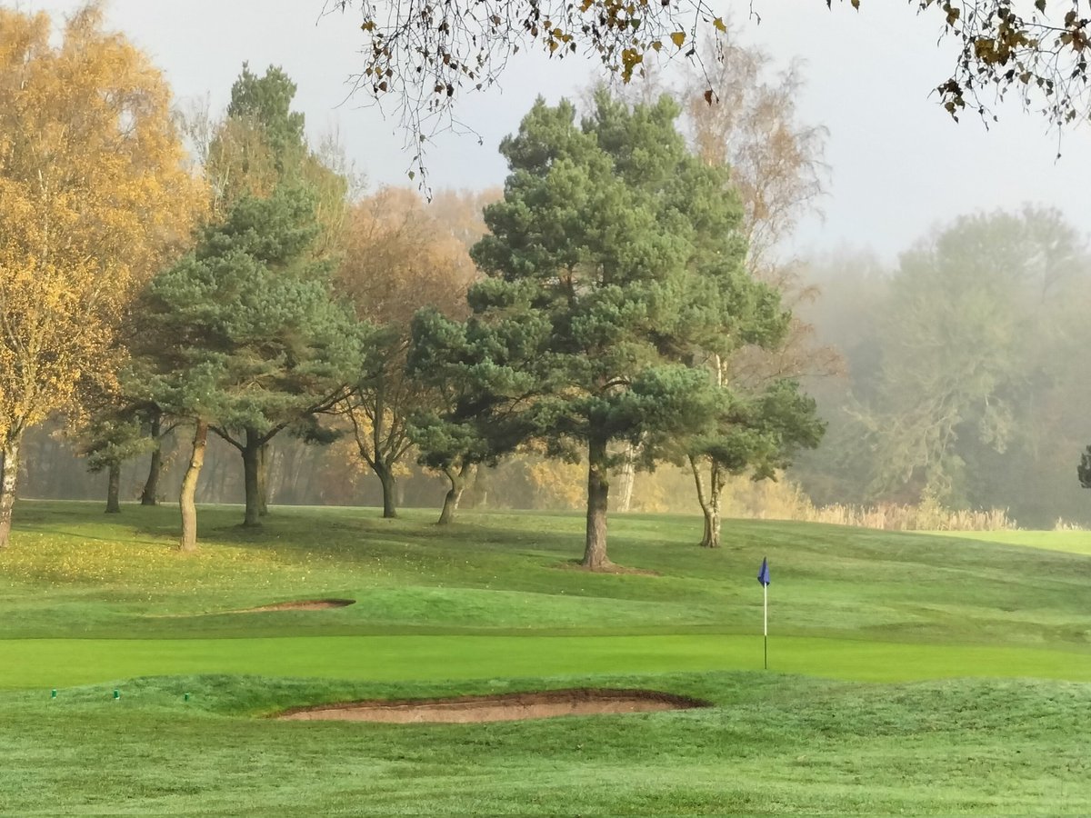 Mandy Ambert tweet media