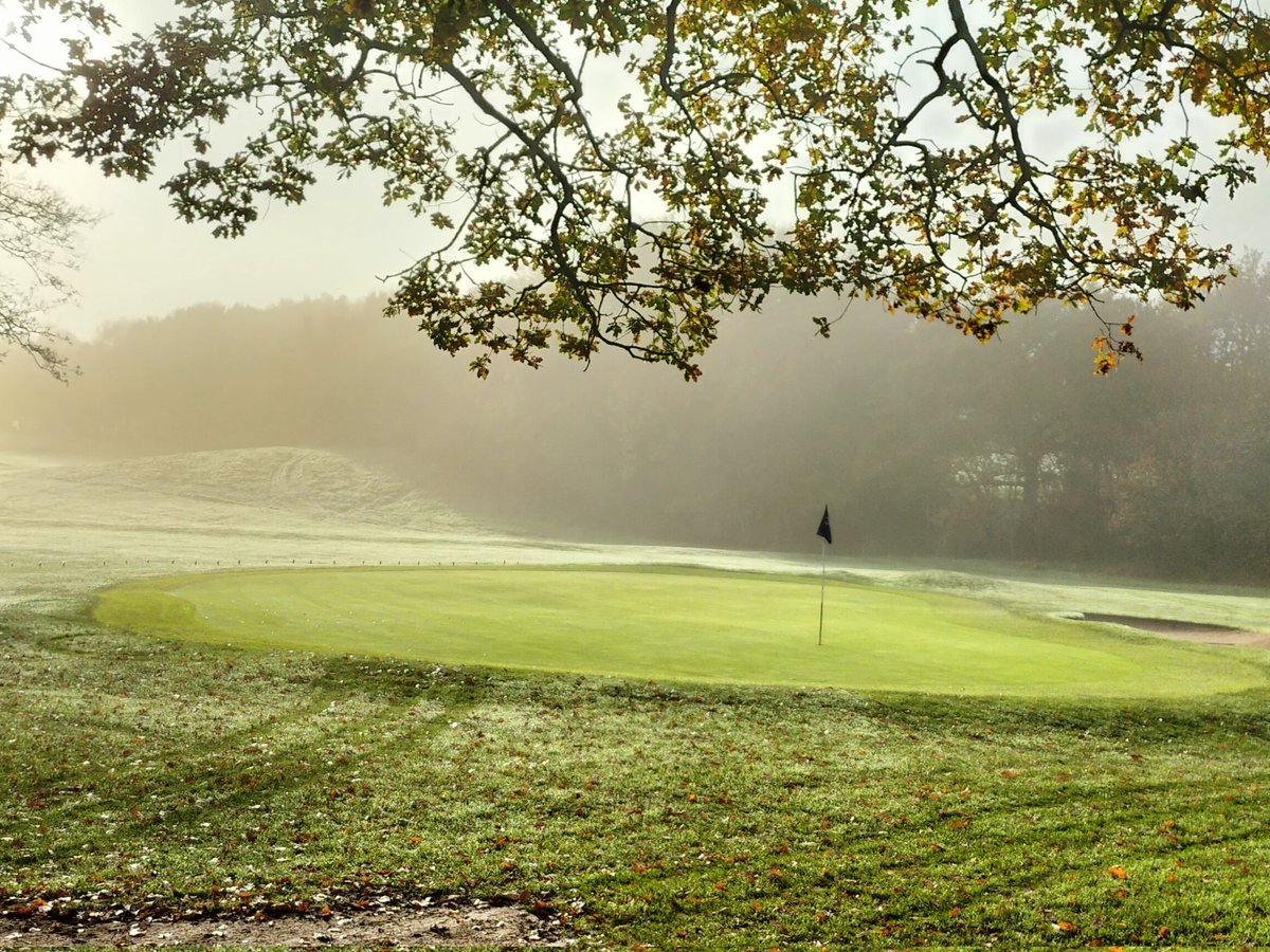 Mandy Ambert tweet media