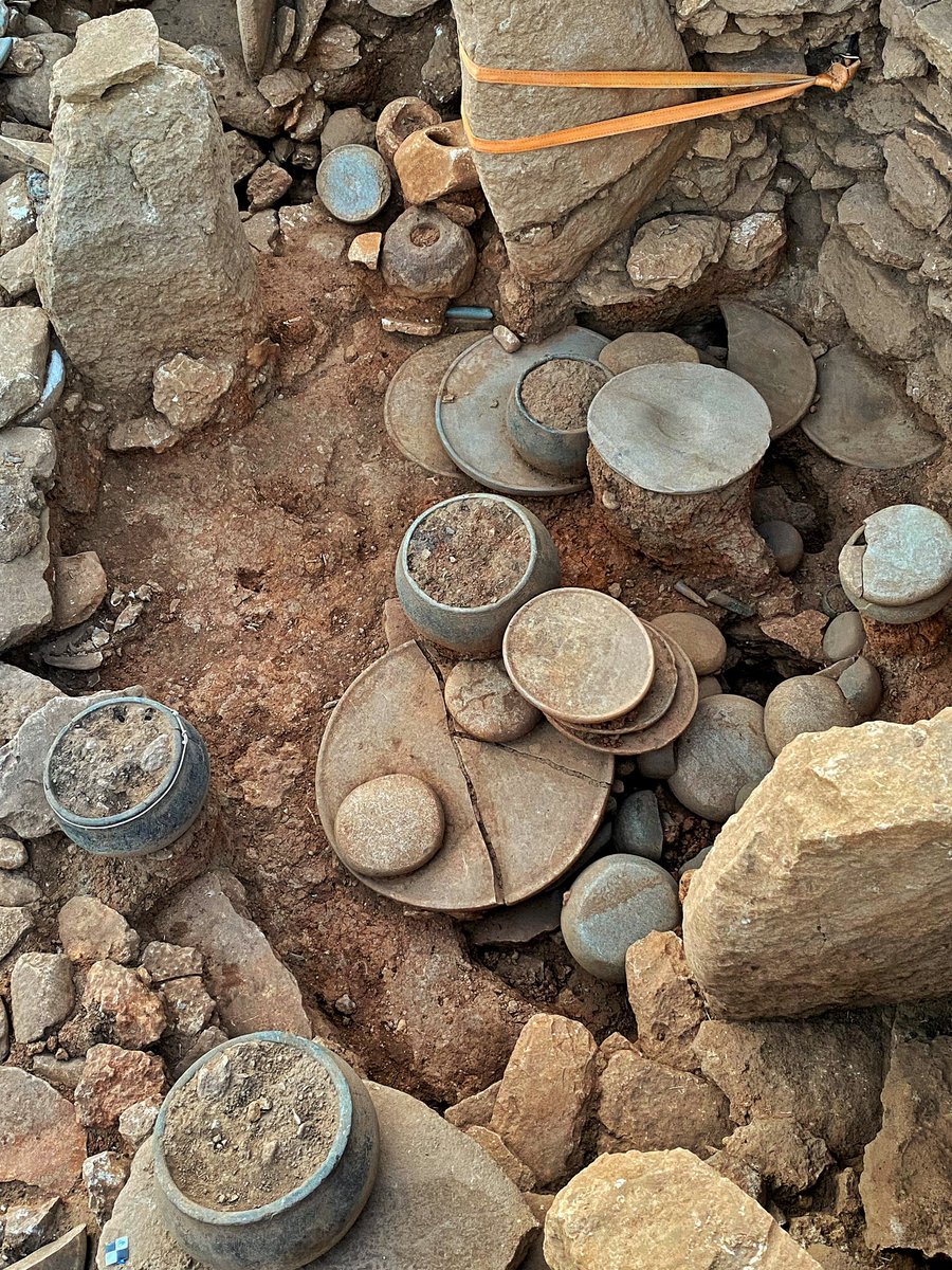 Archaeologiste's tweet photo. From Gobeklitepe to Karahantepe, surrounded by views as ancient as civilization itself. Completely mesmerized by the timeless beauty and mystery these sites hold. 🤍

@WNC2024 
@UNIGEnews 
@sciences_UNIGE https://t.co/5TmoIz12Xx
