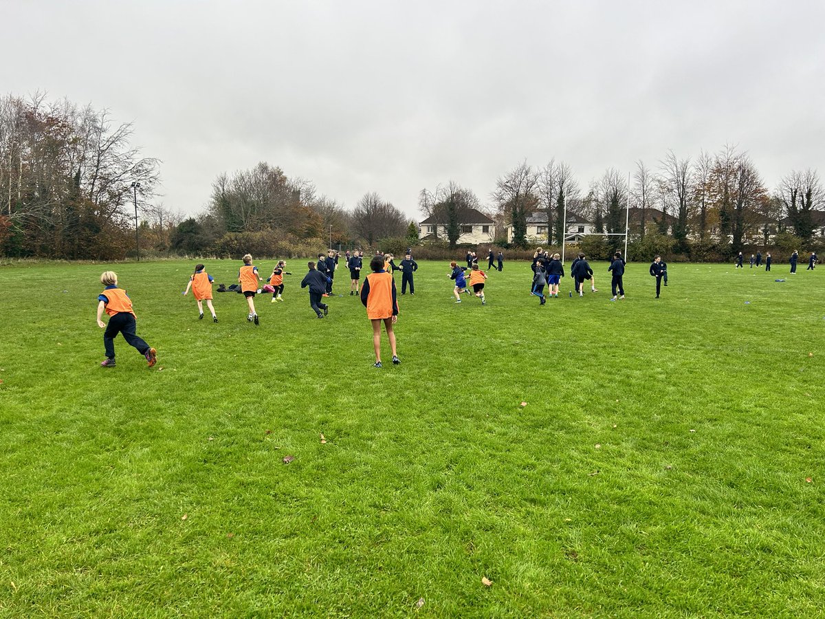 Glenn Predy tweet media