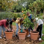 ChimeInCICUK's tweet photo. Food Forests for the Future: Learn how to grow your own food and contribute to creating food forests in your local area. Together, we can make a difference, one plant at a time.  #FoodForests #growyourown https://t.co/Qdx5IPXTq1