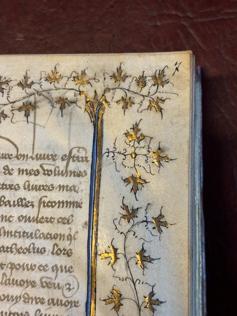 laBnF's tweet image. 📖 (Re)découvrez l&apos;histoire de la cathédrale Notre-Dame de Paris au travers de ses livres, qui servaient au culte ou à l’étude, dans l’expo « Feuilleter Notre-Dame ». 
Organisée par @laBnF au @museecluny elle ouvre ses portes aujourd&apos;hui : bnf.fr/fr/agenda/feui… 
@ArchivesnatFr