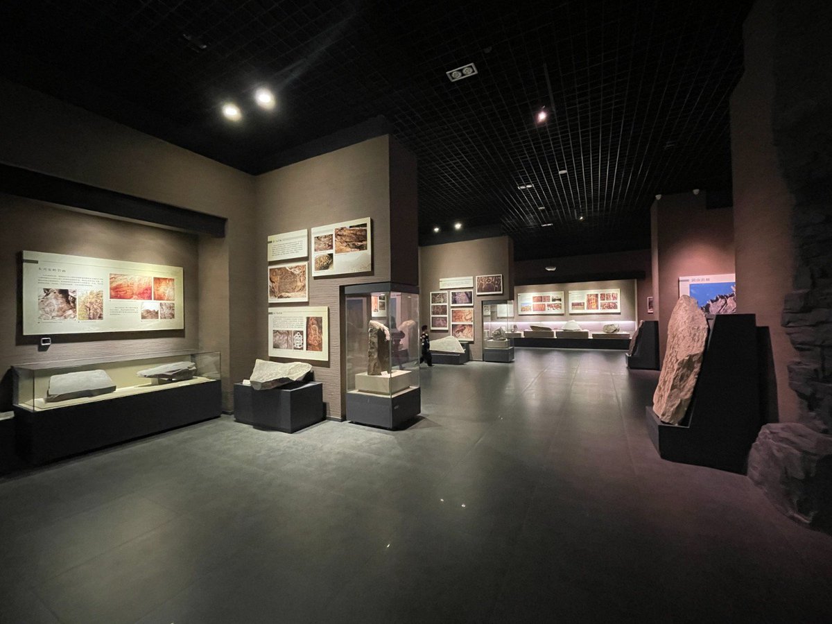 customshowcase's tweet image. 📸 How Can Museum Display Showcases Perfectly Balance Protection and Presentation? 🖼️
Official Website: degreefurniture.com
Email: sales@degreefurniture.com
WhatsApp: +86 13922429233
#museumshowcasemanufacturer
#museumdisplayshowcase
#customdisplaycase
#dgdisplayshowcase