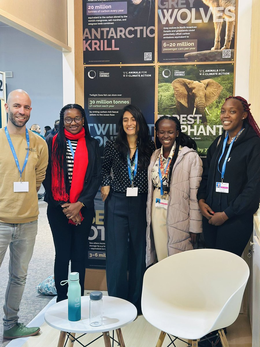 Climate Veterinary Alliance present at #COP29Baku. We are pleased to meet with a team from World Federation for Animals who share our vision of ensuring and protecting animal health and welfare. 
By protecting animal health, we’re protecting human health &amp;environmental health 1/2