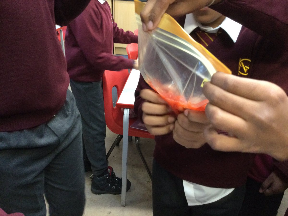MountStewartSch's tweet photo. We extracted DNA from strawberries! 6S investigated the process of extraction as part of their Science. #tmssyear6 #tmssscience https://t.co/VljtR4YP6m