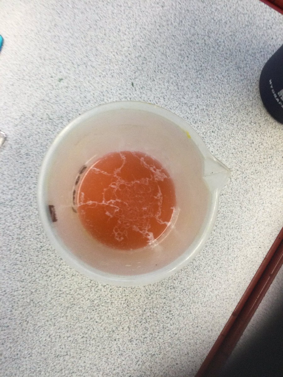 MountStewartSch's tweet photo. We extracted DNA from strawberries! 6S investigated the process of extraction as part of their Science. #tmssyear6 #tmssscience https://t.co/VljtR4YP6m