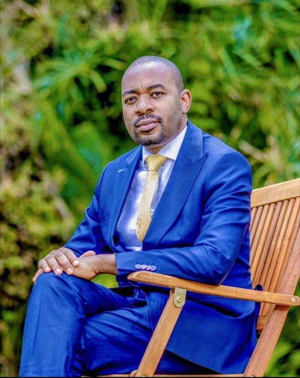 His name is <a href="/nelsonchamisa/">nelson chamisa</a>