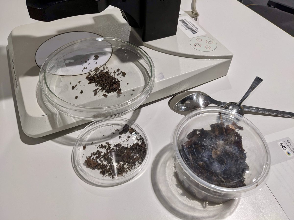 iDiv Biodiversity Research (@idiv) on Twitter photo 🌱Heute feiern wir den #Weltbodentag! 🌍🍄
Vor kurzem hatte eine Grundschulklasse die Gelegenheit, bei #iDiv den Boden unter dem Mikroskop zu betrachten. Ein großes Dankeschön an unsere Forscherinnen @RomyZeiss und <a href="/Elisabeth_Boen/">Elisabeth Bönisch</a>! 🙌 <a href="/UniLeipzig/">UNIVERSITÄT LEIPZIG</a> <a href="/UniJena/">Universität Jena</a> 🌱Heute feiern wir den #Weltbodentag! 🌍🍄
Vor kurzem hatte eine Grundschulklasse die Gelegenheit, bei #iDiv den Boden unter dem Mikroskop zu betrachten. Ein großes Dankeschön an unsere Forscherinnen @RomyZeiss und <a href="/Elisabeth_Boen/">Elisabeth Bönisch</a>! 🙌 <a href="/UniLeipzig/">UNIVERSITÄT LEIPZIG</a> <a href="/UniJena/">Universität Jena</a>
