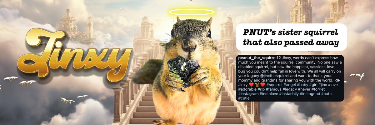 This is $JINXY, CTO. PNUTS confirmed the passing of her sister, who had a disability and is now resting in heaven

TG: t.me/jinxyspl
CA: BFhtS2T2y6KTicomS9xTCUN5HYZ8UdxZJBJkE31oCjeK