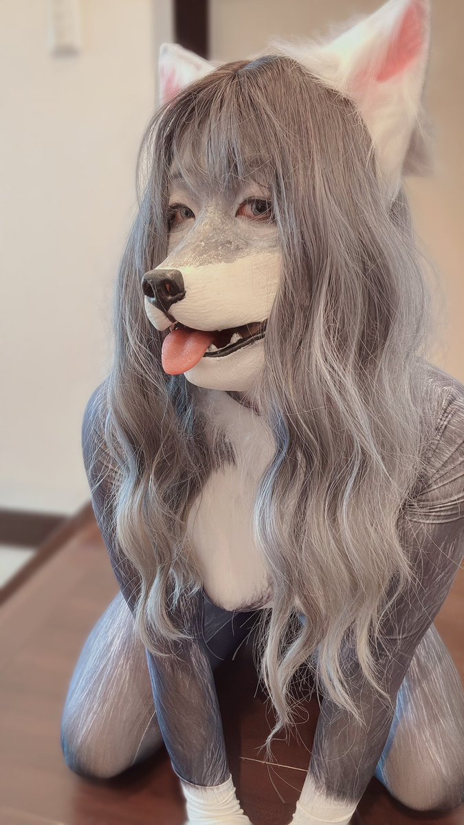 Rsp4r9's tweet photo. いい獣化の日忘れてたけど
年中獣化してるからいいよね

#いい獣化の日 #いい獣人の日 #メスケモ https://t.co/eRVXbJ5JMx