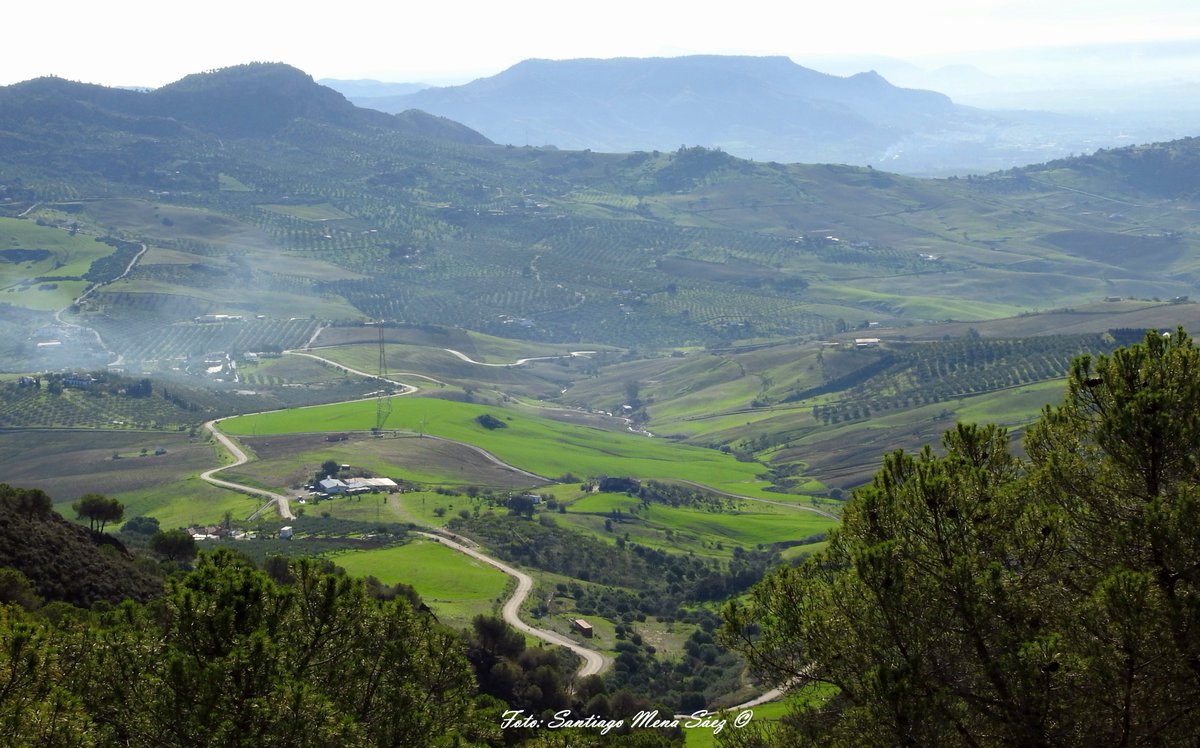 SantiFoto's tweet photo. Recorrido circular de #senderismo por la Sierra de Aguas en Álora #Malaga 🇪🇸 Subida hasta el vértice geodésico del Cerro Bellaco (949 msnm) y el #parque eólico de @SiemensGamesa Vistas increíbles y disfrute de la #naturaleza 🥾⛰️🎒#libertad #fauna #Salud https://t.co/SxpZIcnREA