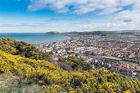 Llandudno is well-regarded for its stunning landscapes, and while many visitors flock to the Great Orme or Happy Valley, several tranquil parks offer a peaceful escape from the bustling tourist trails. **Haulfre Gardens**, nestled on the slopes between the town and the Great