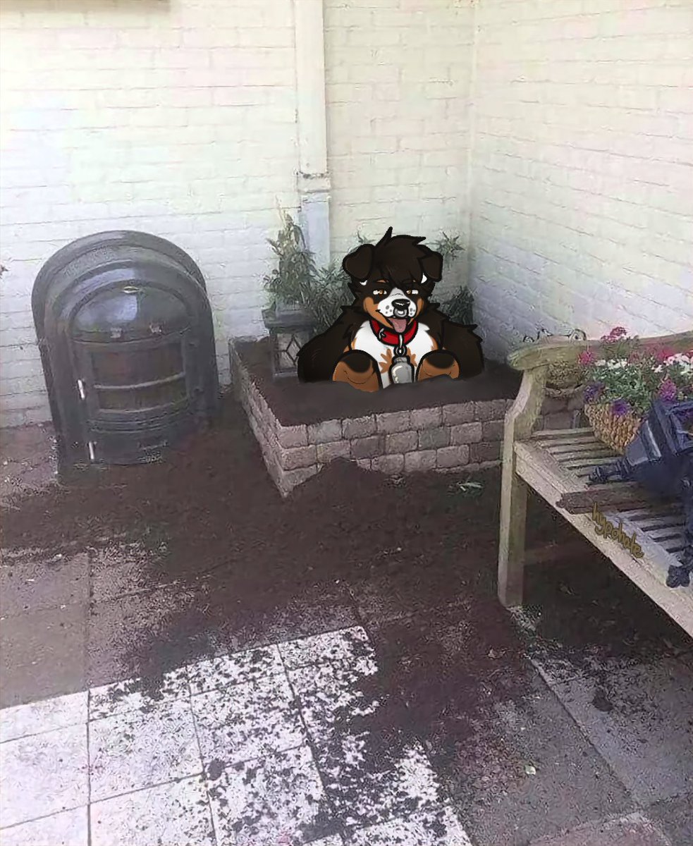 BoofusRufus's tweet photo. Professional Menace to your Garden 🐕🌱

@hypohate did an amazing job on this ♥️ https://t.co/SJT4J50f2T