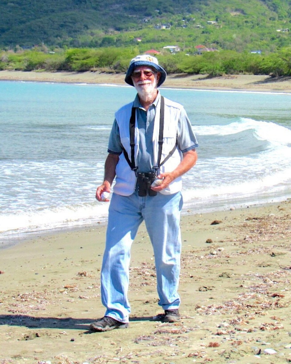 Birds Caribbean tweet media