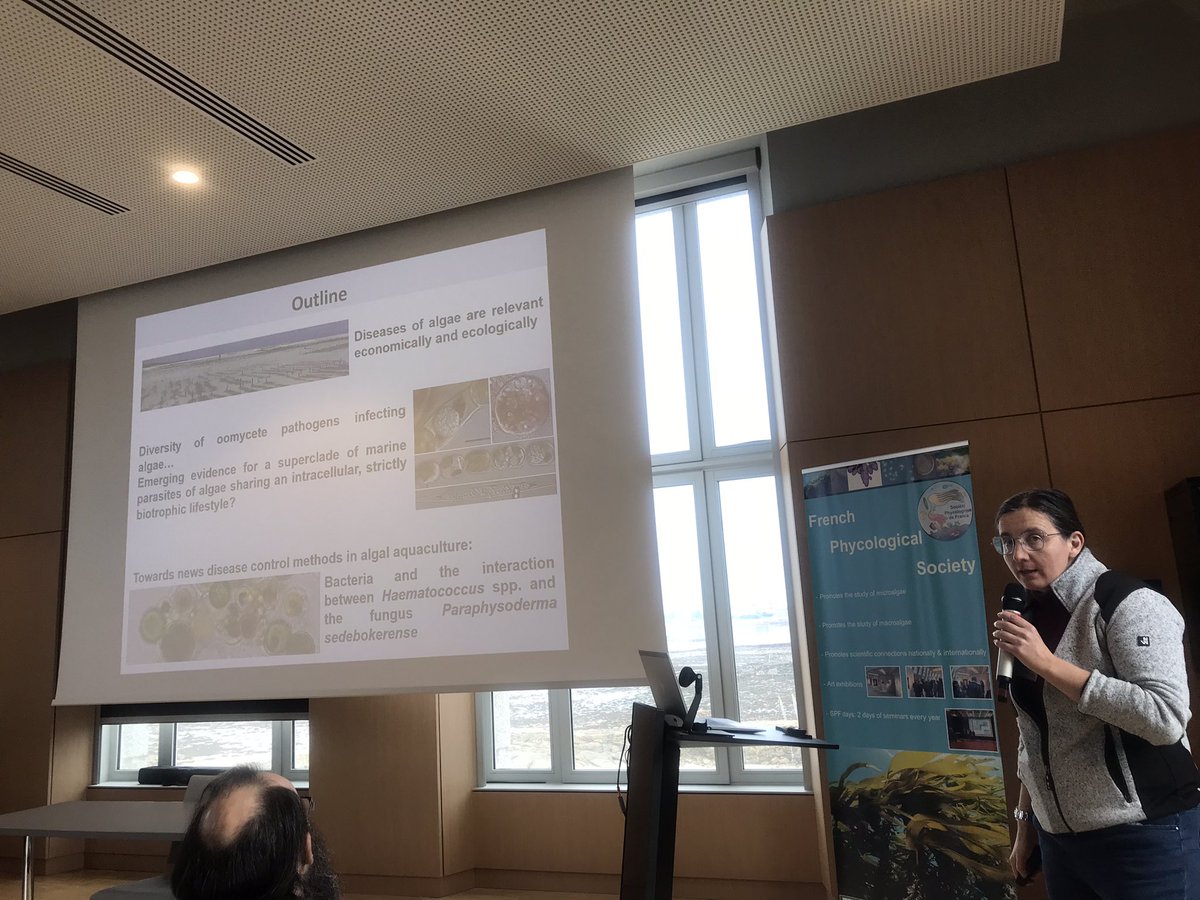 Présentation de Claire Gachon sur les secrets du parasitisme de macroalgues #JSPF2024 <a href="/SBRoscoff/">Station Biologique de Roscoff</a>