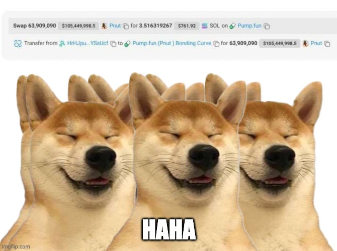 $haha dog tweet media