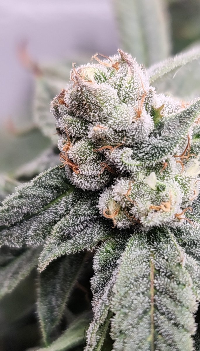 Here's a few before sunrise