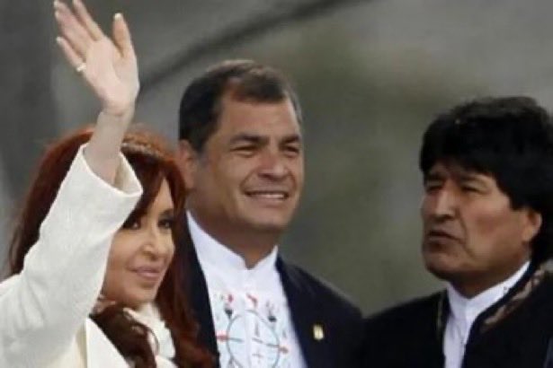 Liliana Franco tweet media