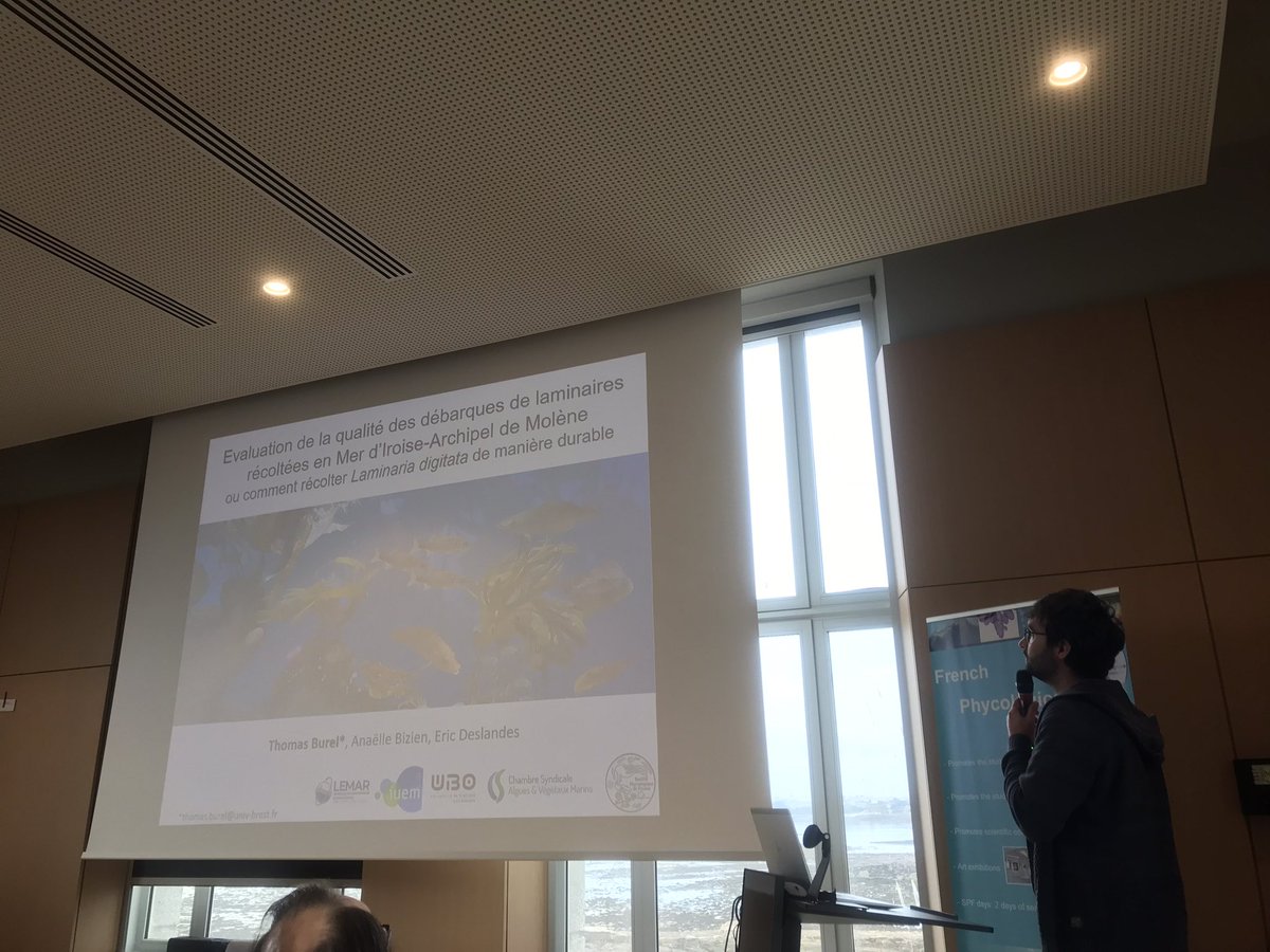 Présentation de Thomas Burel sur les récoltes de Laminaria digitata #JSPF2024 <a href="/SBRoscoff/">Station Biologique de Roscoff</a>