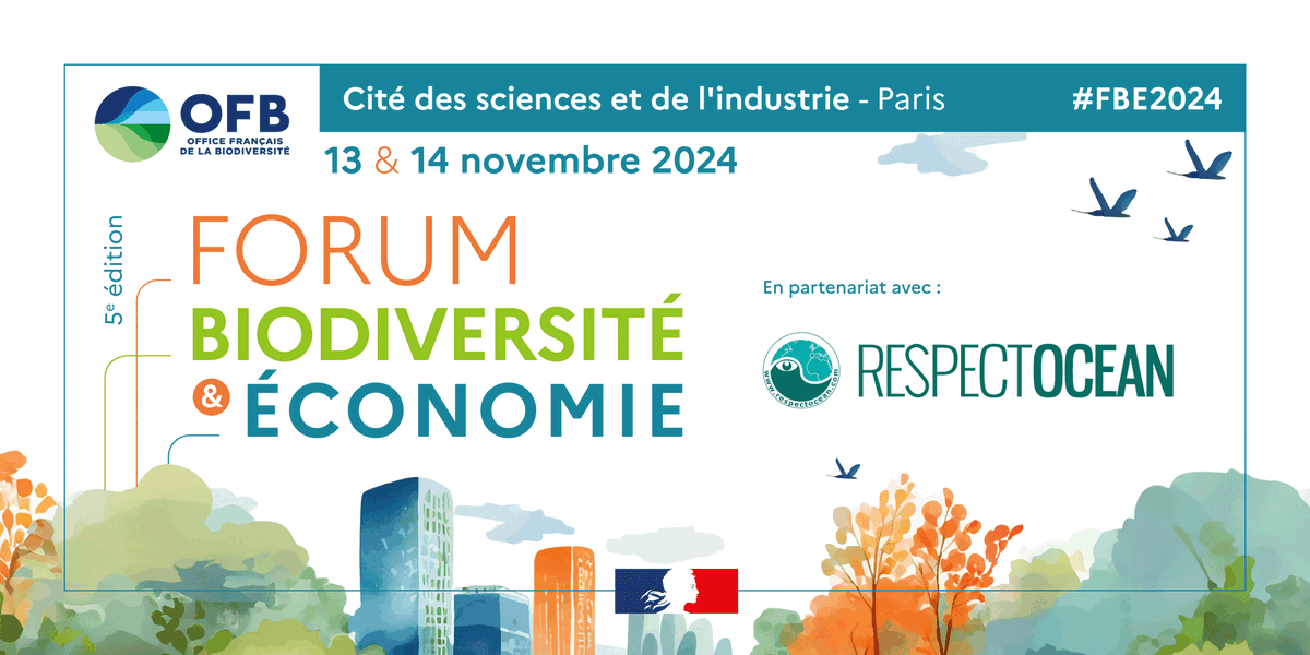 RespectOcean 🌊 tweet media