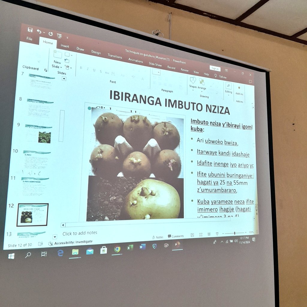 Lee_Fabricee's tweet photo. Today, Kilimo Trust Rwanda, in collaboration with @RwandaAgriBoard, is hosting a training session on Irish potato seed multiplication at Fatima Hotel in @MusanzeDistrict.
 
The session is designed for farmers from cooperatives who are benefiting from the Kungahara project, which is funded by the @EU_Commission and @rikolto Son.

This seeks to improve the quality and quantity of Irish potato production in Rwanda's north-western region.

#KungaharaProject #KilimoTrust