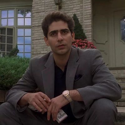 gabagool_papi's tweet image. BREAKING: President-Elect Donald Trump appoints Christopher Moltisanti as Director of Stirring his eggs