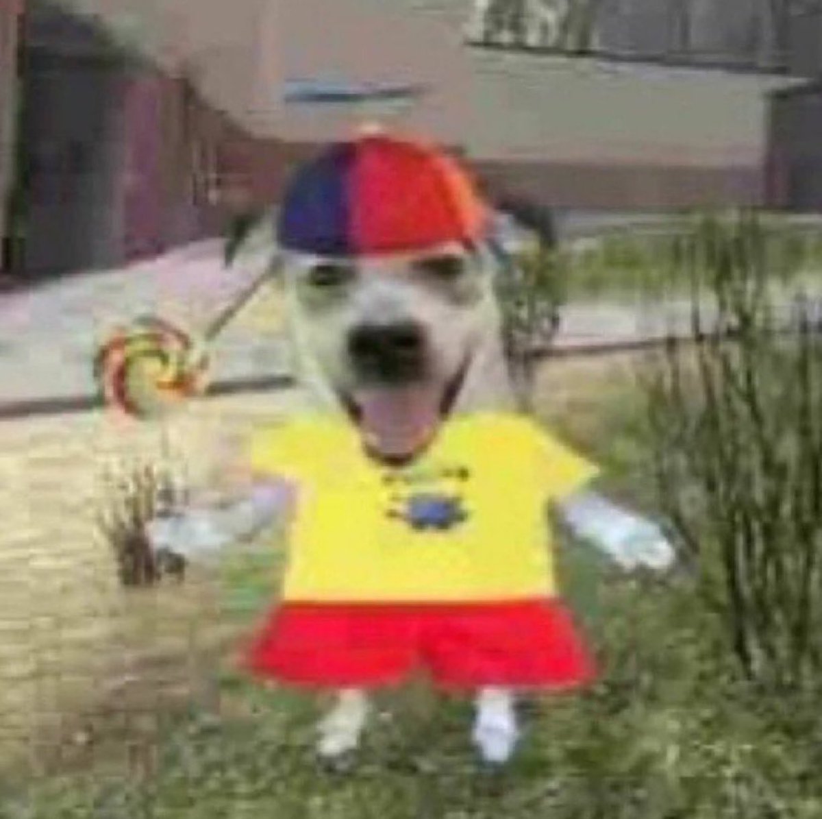 how i feel being new at a job and having to get trained on the most basic things