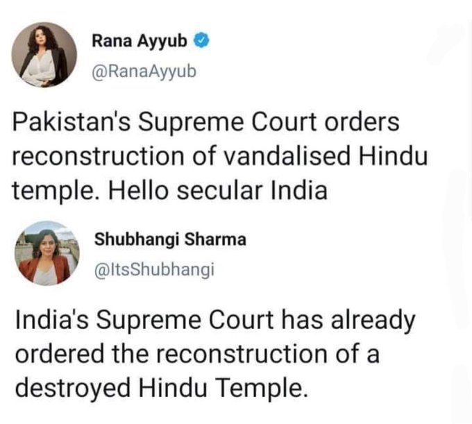 This Reply Has Its Own Fan Base 🔥