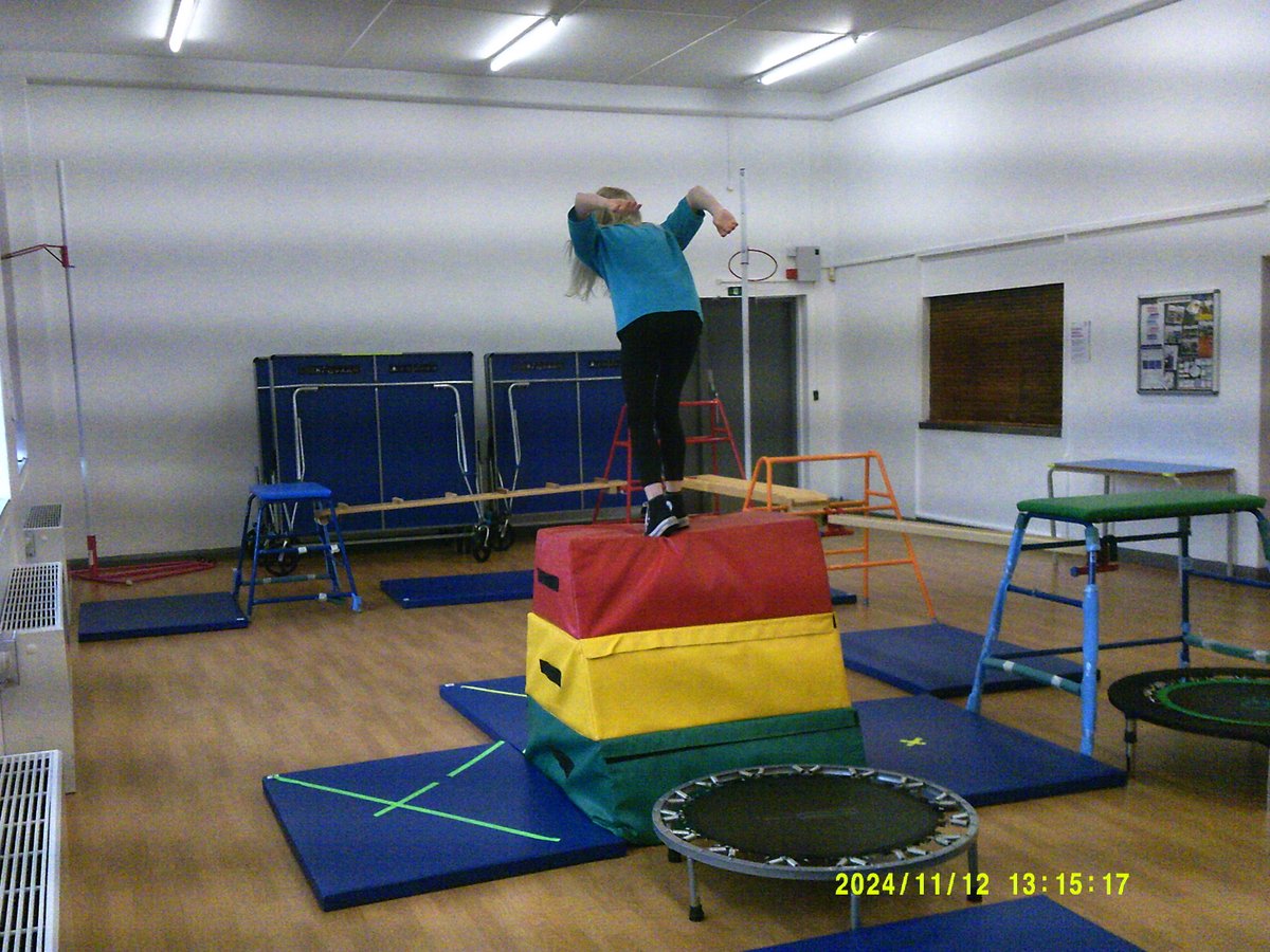 A student and Sevenhills participating in a gymnastics session. Positive engagement and discussions.