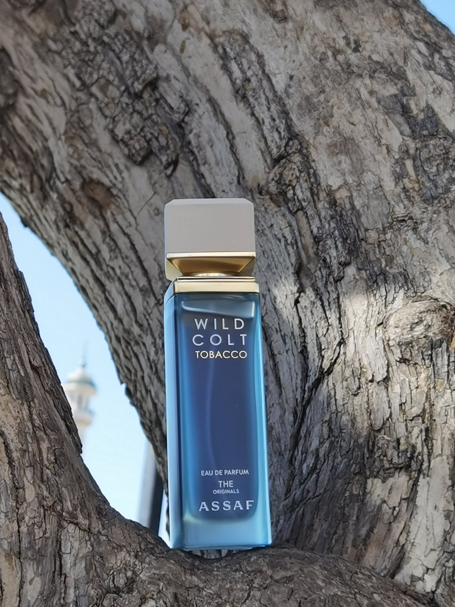 FAl465's tweet photo. مشاركتي بمسابقة #عساف 
-
@assafperfumes https://t.co/cV0479GWNR