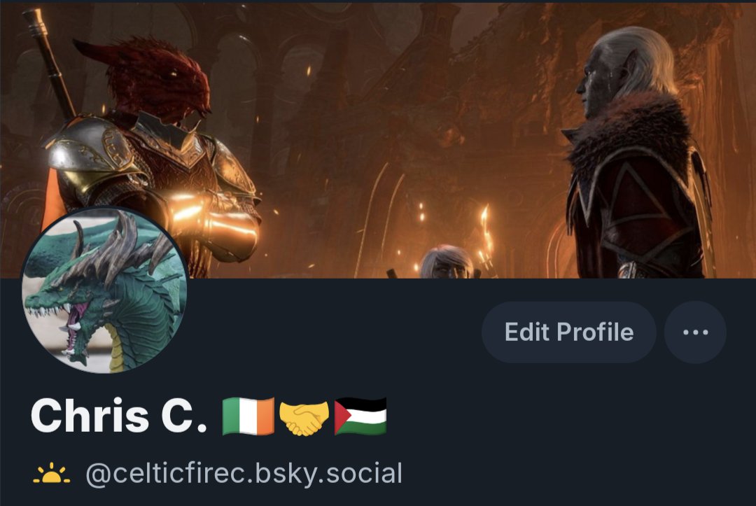 Chris C. 🇮🇪🤝🇵🇸 tweet media