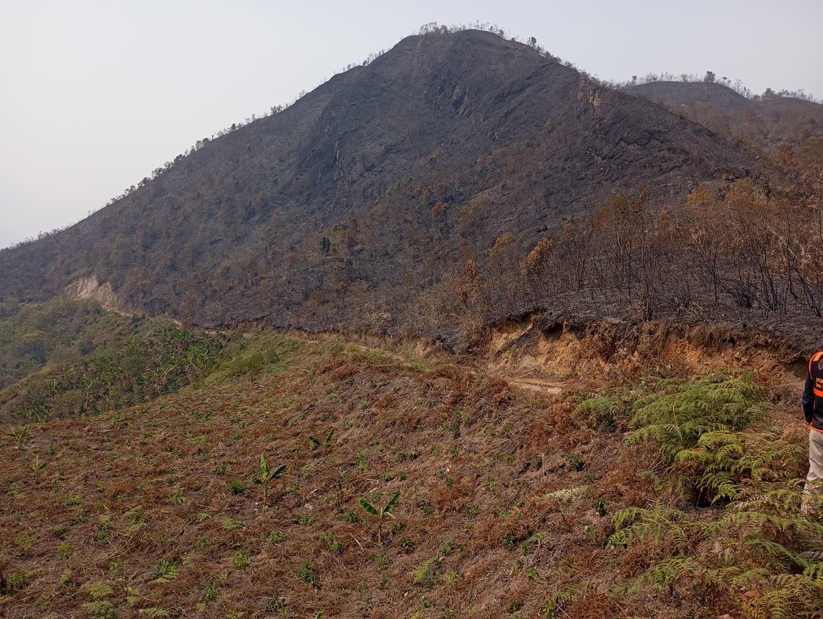 indeciperu's tweet image. 📢 #Cajamarca | Incendio forestal en Cruzpampa, distrito de Chontali, Cajamarca se encuentra extinguido. Personal del INDECI brindó asistencia técnica en #EDAN a las autoridades de la municipalidad distrital.