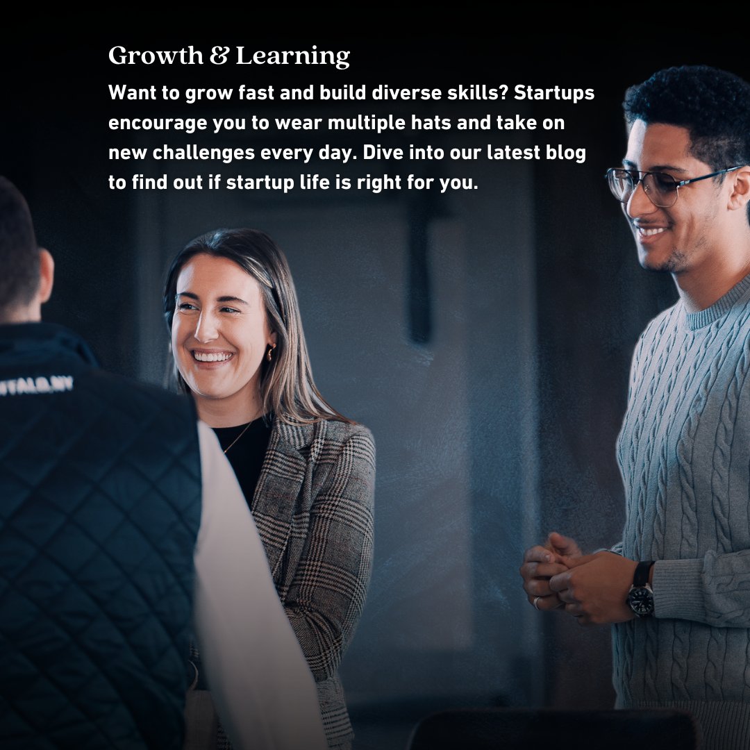 43North Compass tweet media