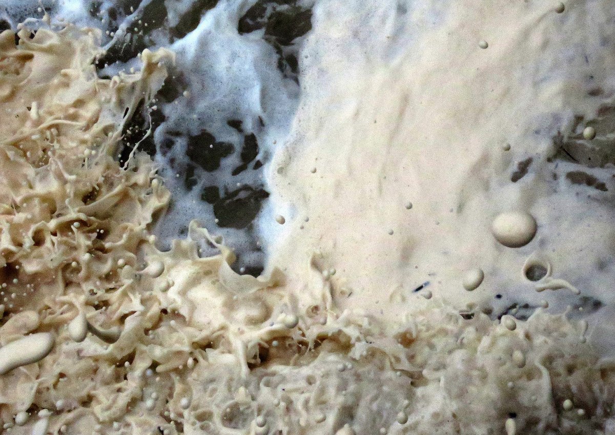 Brian Craig tweet media