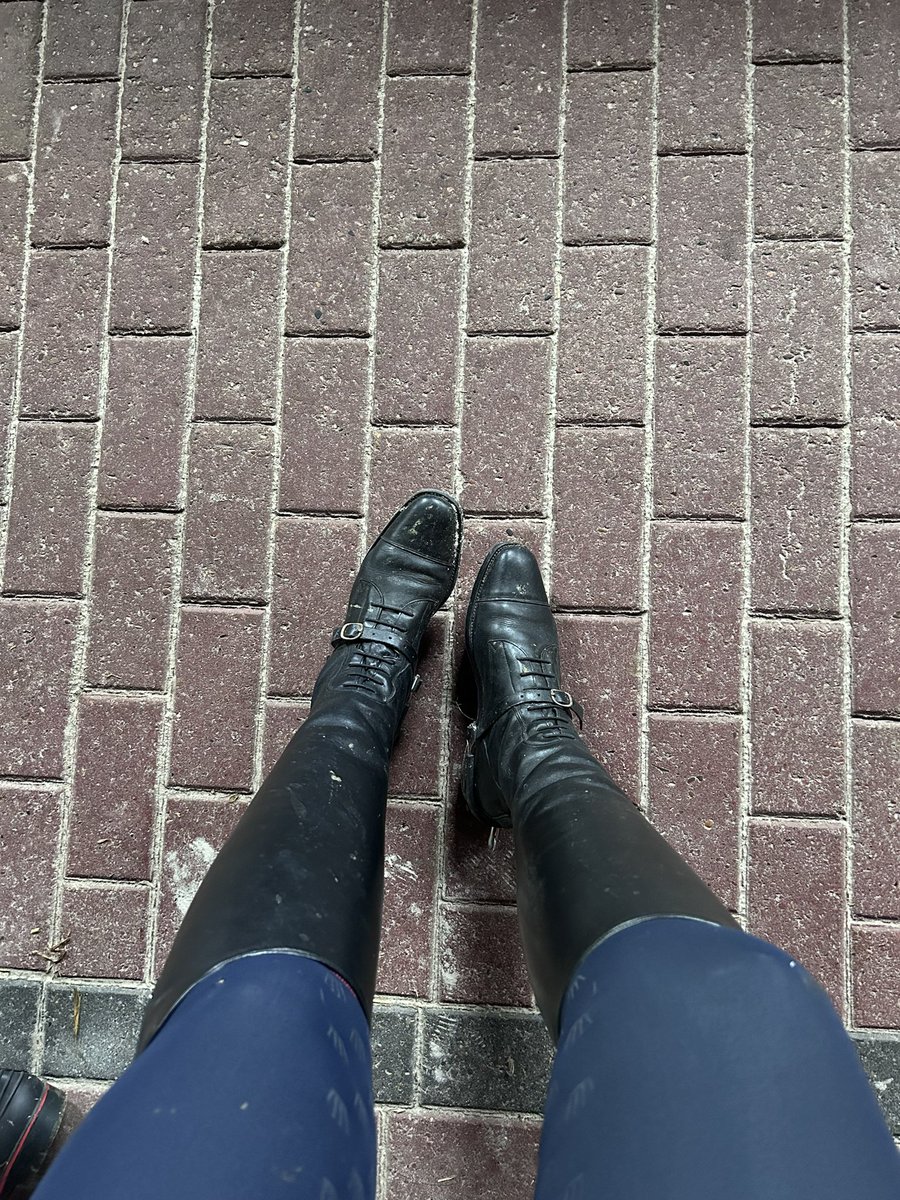 Nach einem entspannten Ritt ging es für mich noch ins Gym zu einem Cardiotraining.

Nun genieße ich einen entspannten Abend auf der Couch, du kannst dich also nützlich machen💵