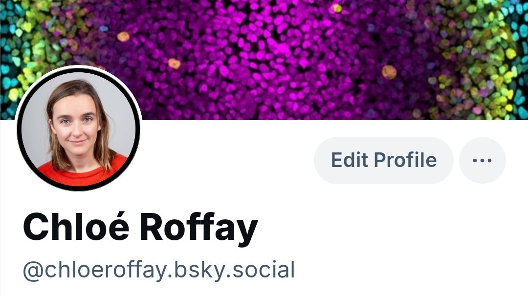 CRoffay's tweet image. After seeing too many nail polish adds and untargeted fake content despite my weekly attempts of training the algorithm, I will move to 🦋 and hopes for more science 📊 Find me @chloeroffay.bsky.social