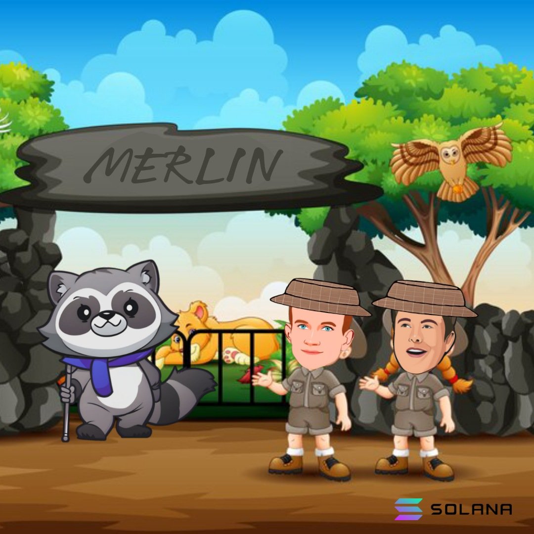Bull Run is here 
$MERLIN community is getting stronger the Old Raccoon will be rewarding all loyal members soon