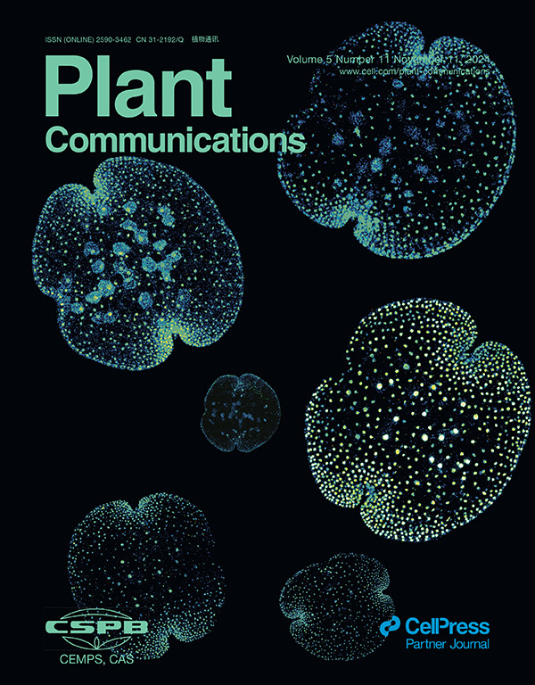 Plant Com Nov 2024 issue online🎉Cover Story: Quantitative imaging reveals the role of MpARF proteasomal degradation during gemma germination (Das et al., 2024) cell.com/plant-communic…