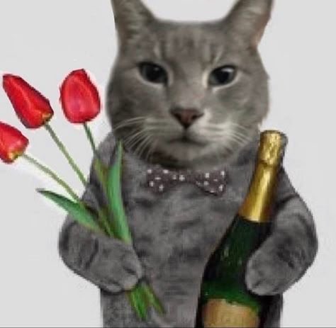 Tammy - hexosphere tweet media