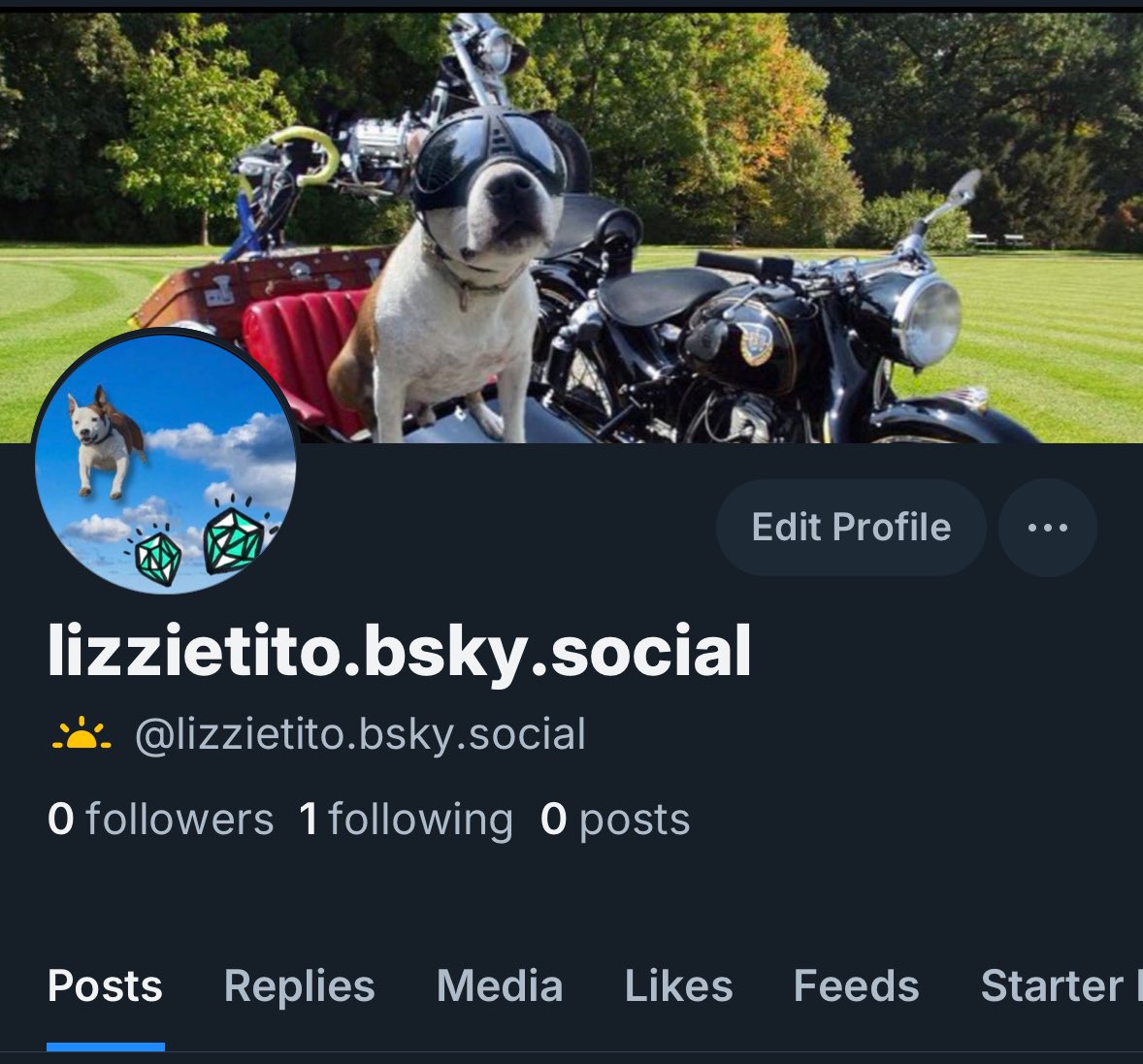 lizzie e il dittatore camorrista tweet media