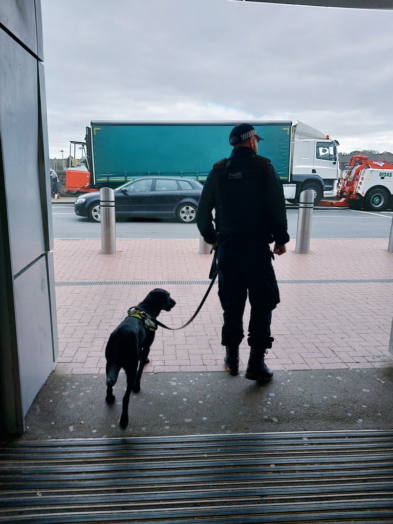 KentPoliceTon's tweet photo. With the help of Police Dog Dougal at #TonbridgeTrainStation, the #CommunitySafetyUnit successfully completed 25 stop searches and seized 1x bladed article and various quantities of cannabis #OpSceptre NW https://t.co/nFI5yDvCPO