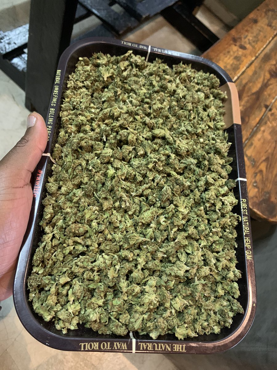 weedloversstore's tweet image. Hey Lovers Of The Movement,Here’s A Chance For You To WIN A Goody Bag Worth R590❤️🍃

• Can You Guess The Number Of Joints That Will Be Rolled With This Much Flower •  Comment With Your Answer On The Comment Section or Retweet Quote 😉… Let’s Goooooo🫶🏽

#ZolRESPONSIBLY…