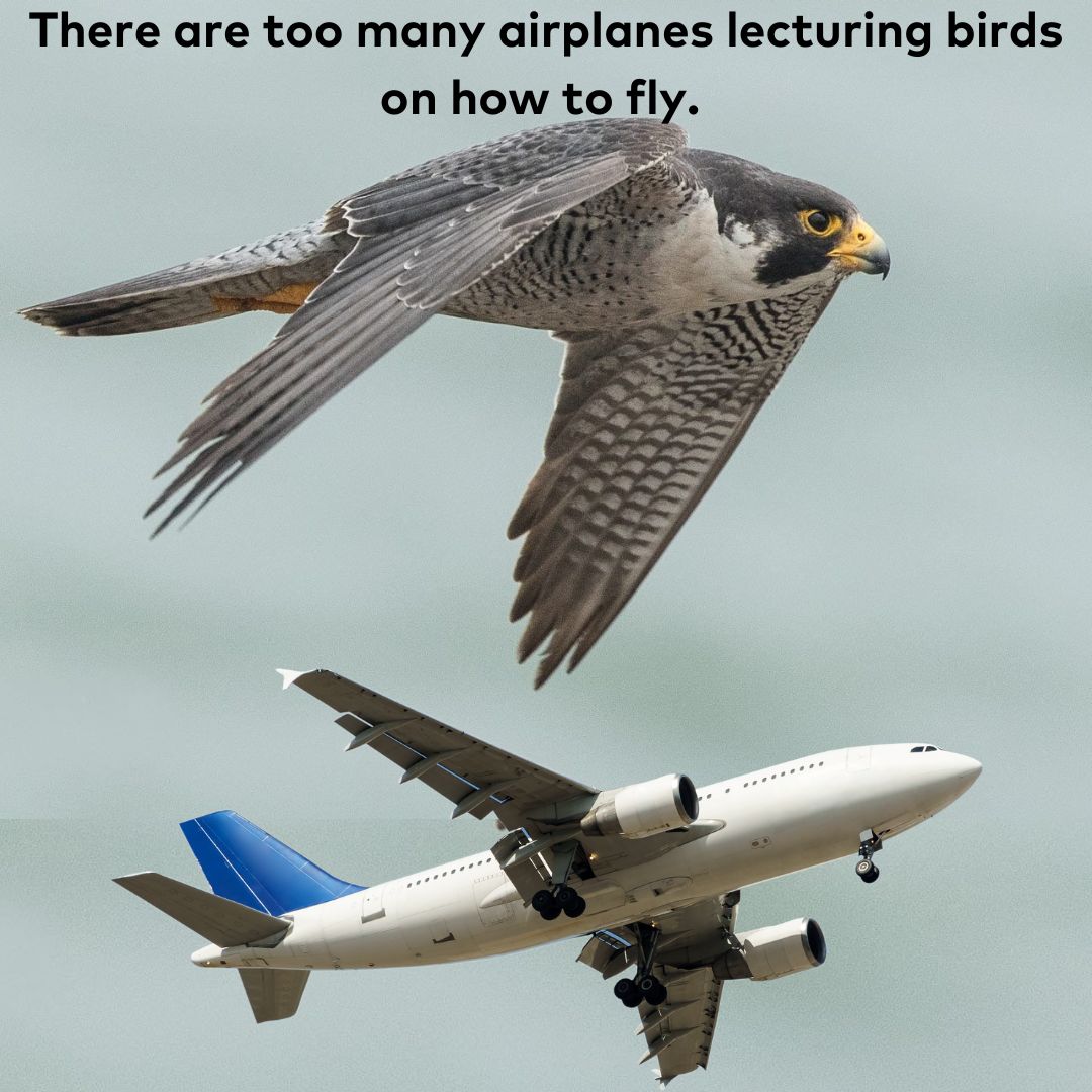 brad_agapecity tweet media